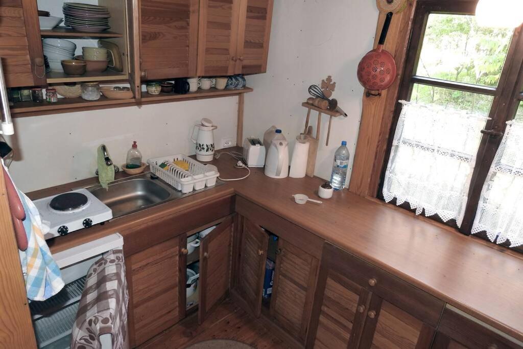 Modrzewiowy Domek Letniskowy - Stare Czaple Бродница Экстерьер фото